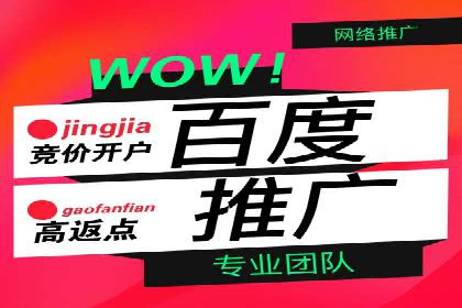 SEM优化技巧：实战案例深度剖析